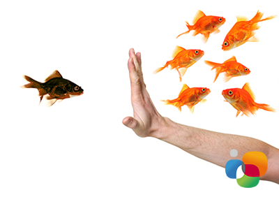 Una mano en alto que prohibe a un pez unirse a otros peces