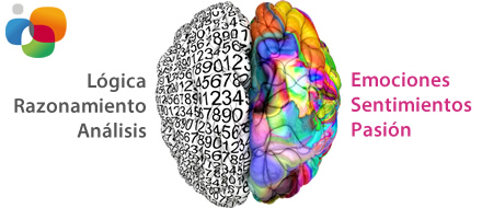 El lado izquierdo del cerebro: lógica, razonamiento y análisis y el lado derecho: emociones, sentimientos y pasión